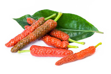 Closeup pile of fresh organic red Idian long pepper ( Piper Longum ,Piper retrofractum ) with green leaf isolated on white background. Herbs medicine plant concept.