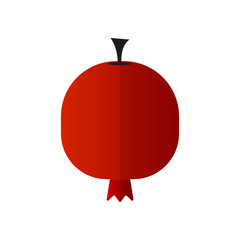 Obraz premium pomegranate