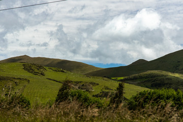 Obraz premium New Zealand Landscape