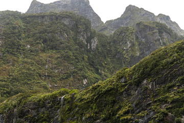 Naklejka premium Wild landscape of Milford Sound New Zealand