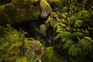 Hidden cave New Zealand