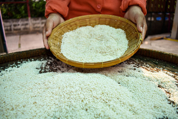 Close up A Farmer Thai woman is using her hands to dry the rice outdoors. Health products. .