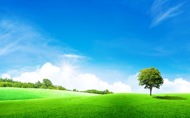 Fototapeta premium Beautiful landscape view of Green tree with grass meadow field and little hill with white clouds and blue sky in summer seasonal.