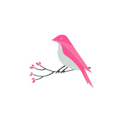 Bird illustration design concept in vector format.