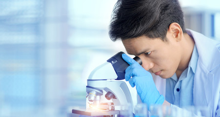 Scientists are looking at a microscopic to study and do research In order to produce therapeutic...