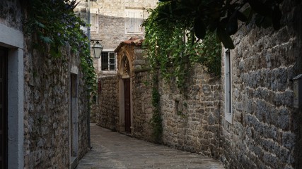 Ancient alley with overgrown grape walls