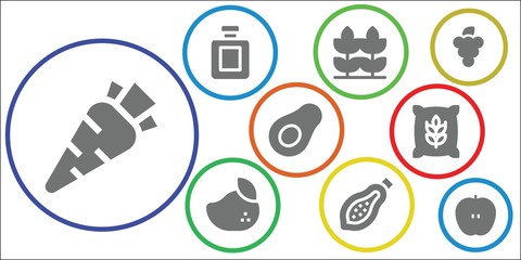 Modern Simple Set of ripe Vector filled Icons