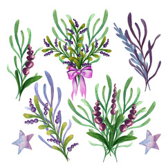 Illustration of lavender flowers. Watercolor and crayons