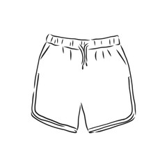 Vector illustration of shorts. Casual clothes. shorts, vector sketch illustration