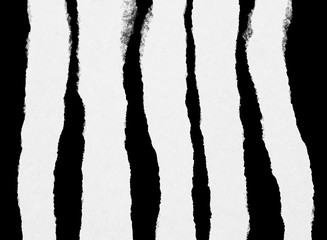 White torn paper collection isolated on black background, ripped blank mockup.