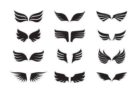 Wing feather set. The winged one is black, the stylized emblem of feathered eagle, dragon in fantasy abstract style, the symbol of the coast logo, the graphic design of emblem. Vector graphics.