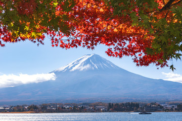 Fuji Mountain and Red Maple Leaves in Autumn at Kawaguchiko Lake, Japan