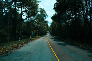 Road close to nature Surrounded by trees and mountains