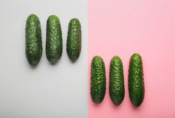 Fresh green cucumbers on color background