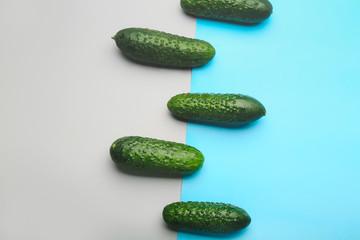 Fresh green cucumbers on color background