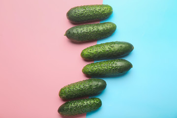 Fresh green cucumbers on color background