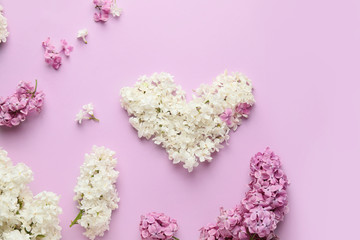 Composition with beautiful lilac flowers on color background