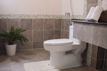 The bathroom in the toilet is white and beautifully decorated.