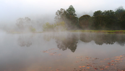 Misty Autumn morning at the lake