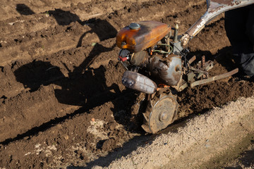 Fototapeta na wymiar Hand plough tilling soil on field