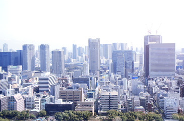 Fototapeta premium Widok z lotu ptaka na Tokio, Japonia