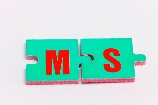 puzzle pieces with the abbreviation MS
