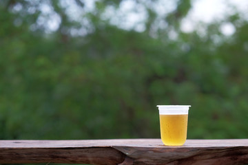 Beer with a comfortable atmosphere