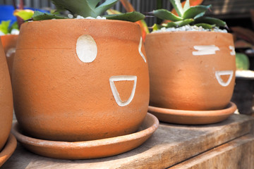 Flowerpot with faces showing feelings
