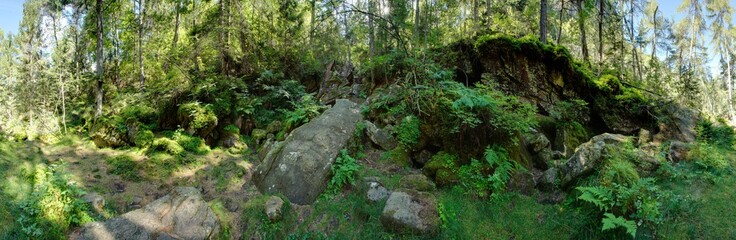 Waldpanorama, Wald mit moosbedeckten Felsen