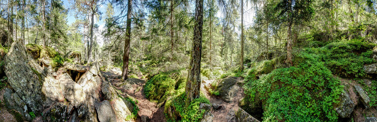Waldpanorama, Wald mit moosbedeckten Felsen