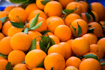 Ripe oranges in boxes, Harvesting citrus fruits.