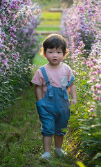 Boy walking in Margaret flower field.