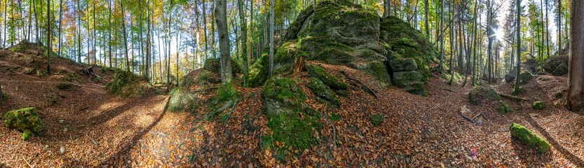 Waldpanorama, Wald mit moosbedeckten Felsen