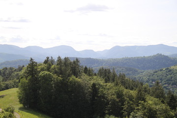 Dry frozen may mountains forest