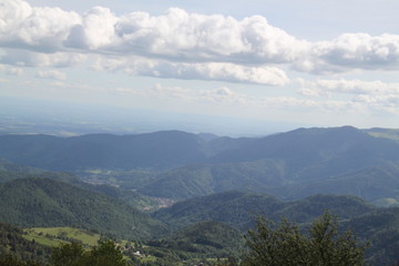 Obraz premium Dry frozen may mountains forest
