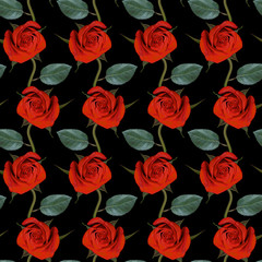 Seamless pattern with red rose flowers and green leaves on black background. Endless colorful floral texture. Raster illustration.