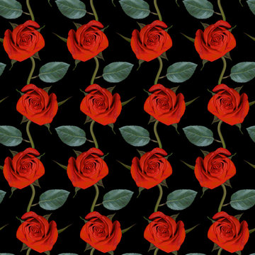 Seamless pattern with red rose flowers and green leaves on black background. Endless colorful floral texture. Raster illustration.