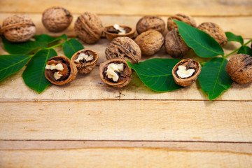 Walnuts and leaves