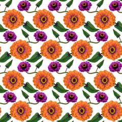 Seamless pattern with orange, purple Zinnia flowers and green leaves on white background. Endless colorful floral texture. Raster illustration.