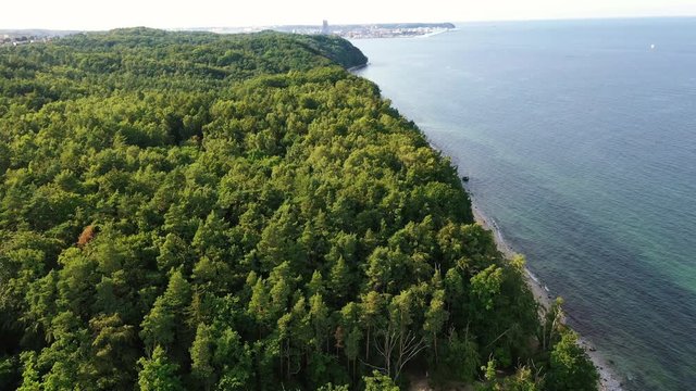 Top view of drone flying above the forest on the cliff with Baltic sea in the background