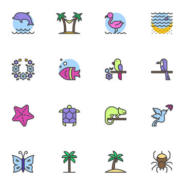 Tropical life filled outline icons set, line vector symbol collection, linear colorful pictogram pack. Signs, logo illustration, Set includes icons as dolphin, flamenco, exotic fish, palm tree beach