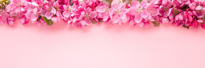 Fototapeta na wymiar Fresh branches of apple blossoms on light pink table background. Pastel color. Beautiful flower wide banner. Closeup. Empty place for inspirational text, lovely quote or positive sayings. Top view.