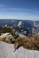 Naklejka na ściany i meble Yosemite national park half dome