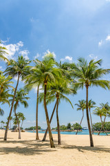 Fototapeta na wymiar Tropical beach in Sentosa island Singapore