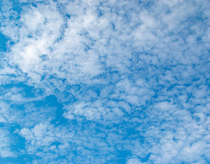 white clouds in the blue sky