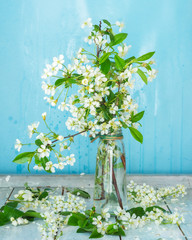 Branches of a blooming apple tree in a tall glass bottle on a blue background
