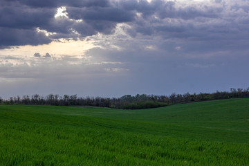 Obraz premium May landscape