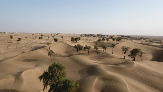 A stunning snap shot of the drone in the Hema Desert, trees, drylands and red dunes, Sultanate of Oman