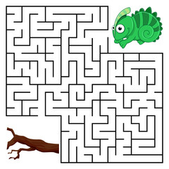 Square maze for kids with cartoon Chameleon. Find right way to Branch. Entry and exit. Puzzle Game with answer. Learning Labyrinth conundrum. Education worksheet. Activity page. Logic Games for kids.