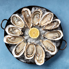 A dozen of oysters on ice, with a lemon, overhead square shot